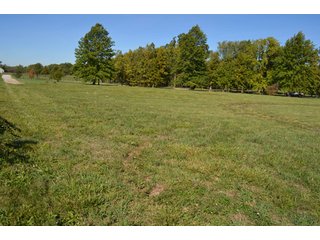 Property photo 52 - 80 +/- Acres Offered in 6 Tracts - Spectacular Farm & Home